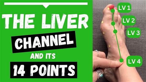 acupuncture points for liver problems.